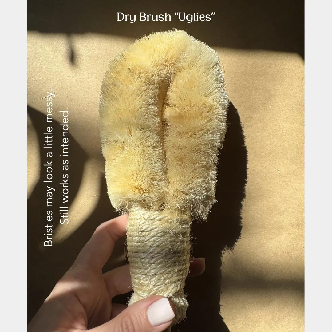 Exfoliating Dry Brush with Handle | Eco-Friendly, Vegan Dry Body Brush for Lymphatic Drainage before Shower